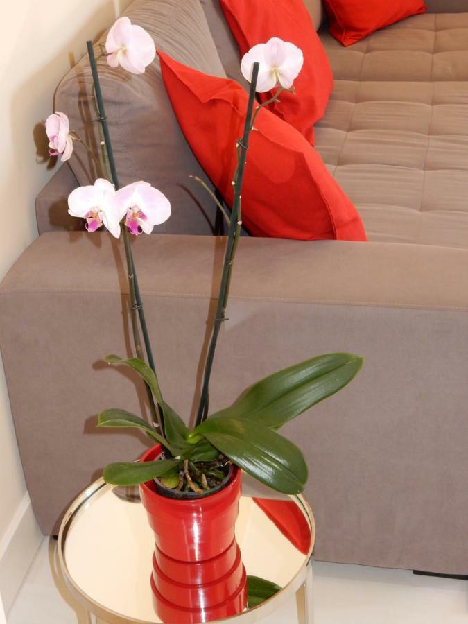Beach & Sea Apt, Fast Wifi, Airco, Private Parking And Pool 波尔蒂芒 外观 照片